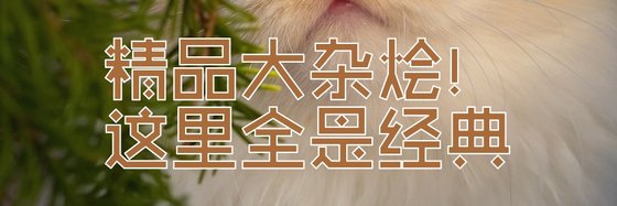 精品大雜燴！這裡全是經典